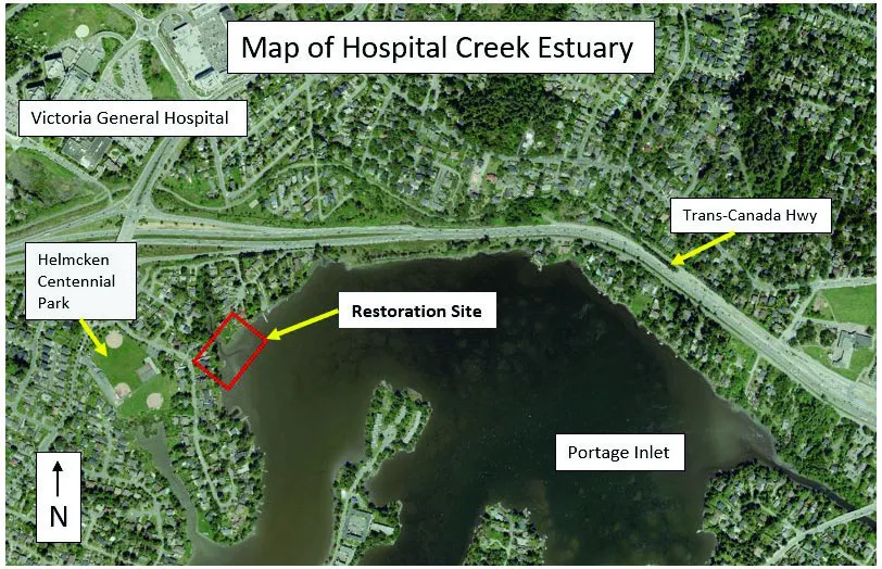Map of Hospital Creek estuary showing Victoria General Hospital and Trans-Canada Hwy