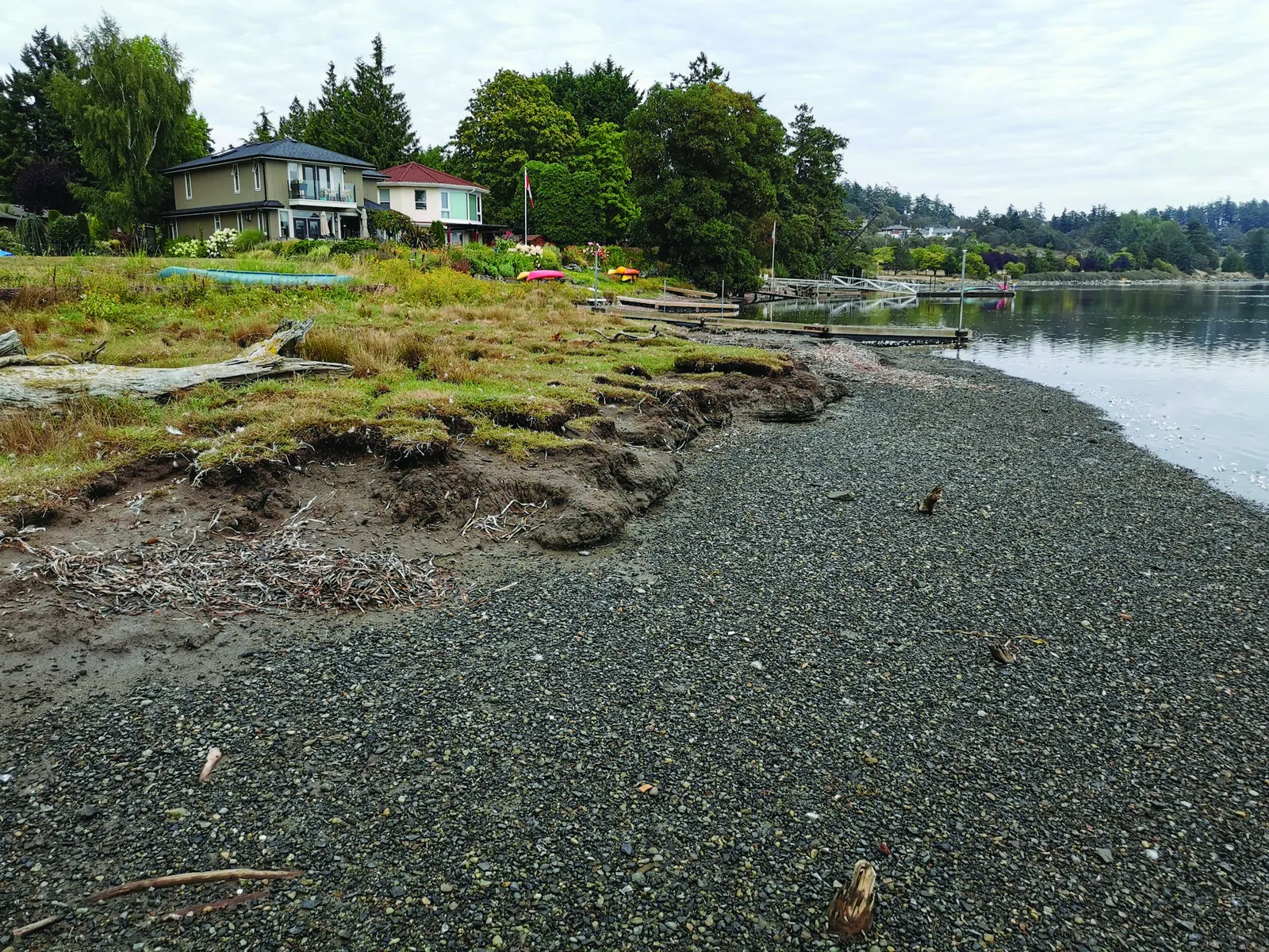 Photo of erosion of Hospital Creek estuary sediment adjacent to waterfront homes