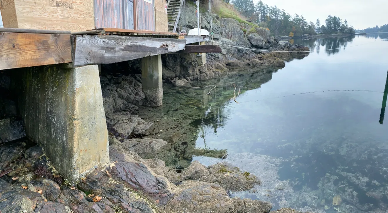 Rocky shoreline at 275 Kerwood St. November 10, 2019.