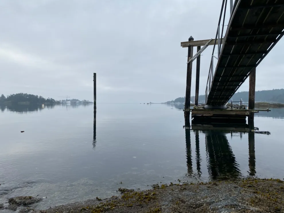 Flat rocky shoreline and neighboring dock. November 10, 2019.