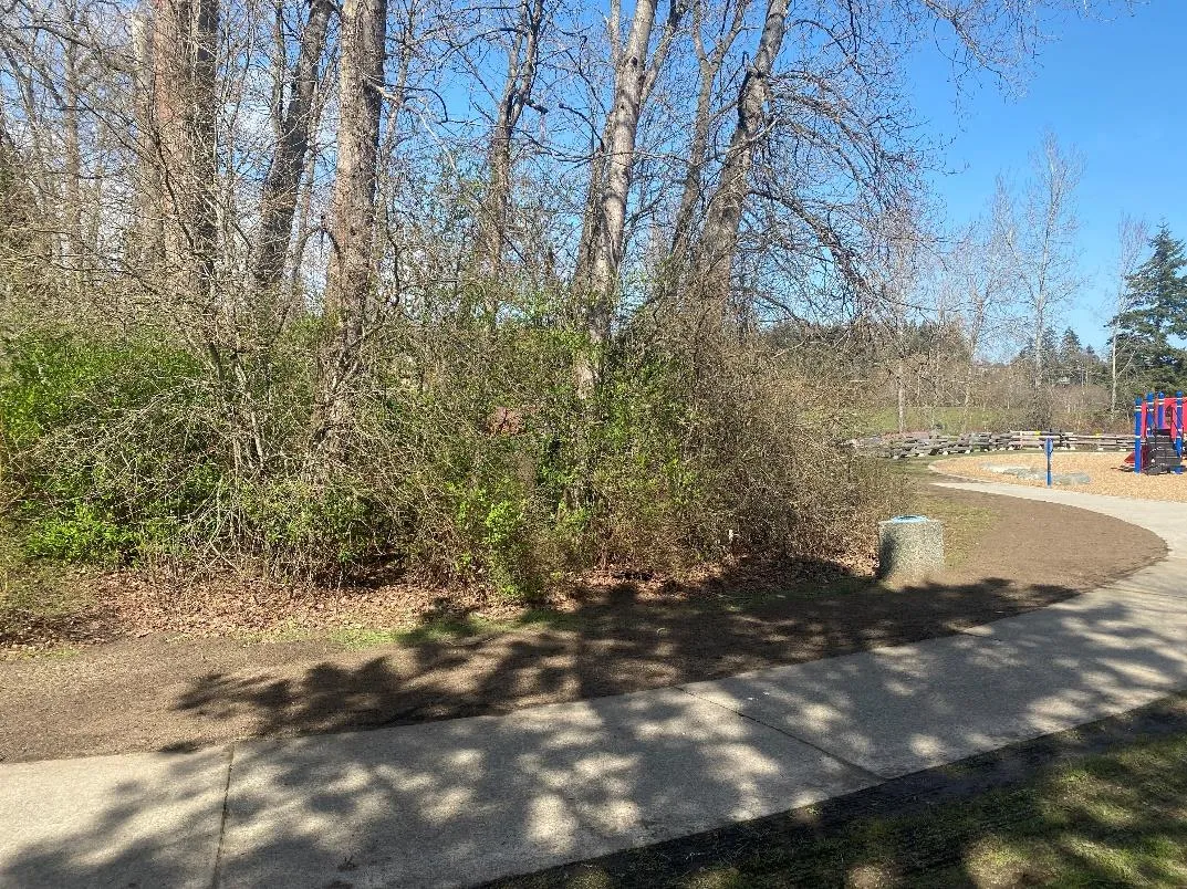 Photo of View Royal Park showing top dressing along the playground and pathway