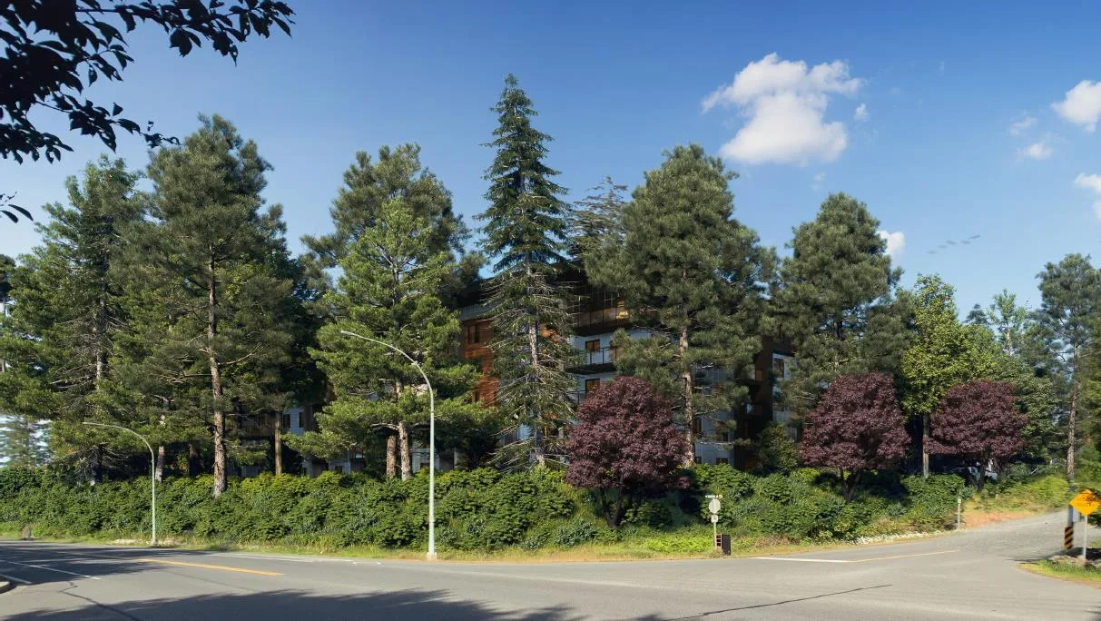 Panoramic rendering of the application without trees to show building facades
