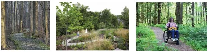 Photo of decorative metal privacy screens