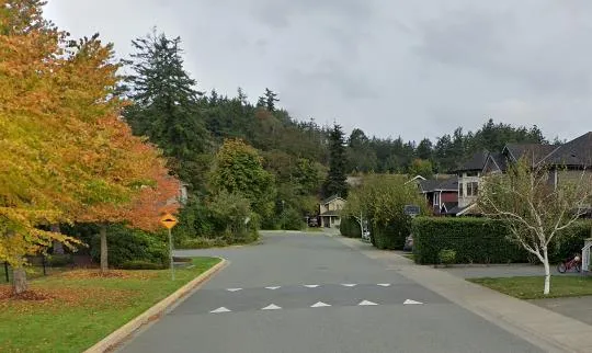 A residential street featuring a speed hump with white triangular markings and a yellow warning sign.