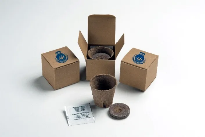 Red Maple Tree Kit Giveaway