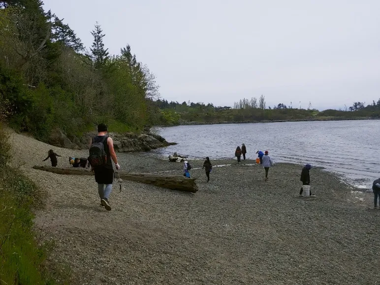 Shoreline students scouring the Portage Park beach for trash