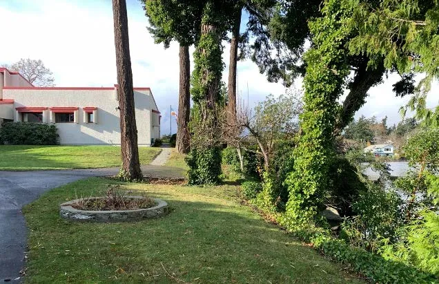 Photograph of the property grounds showing large trees and lawn area adjacent to the dwelling
