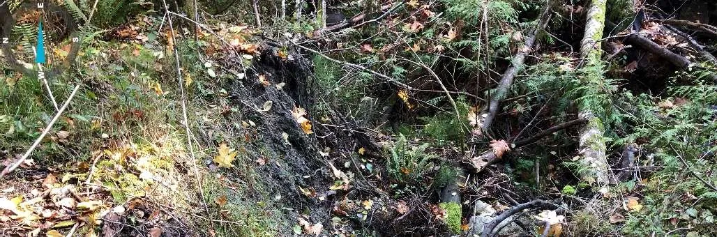 View of a run downstream of transect 1. Spawning habitat for Coho Salmon.