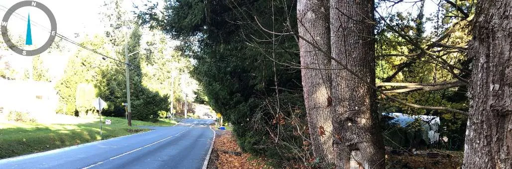 View of the upstream extent of the ditch along Atkins Road from the existing driveway access.