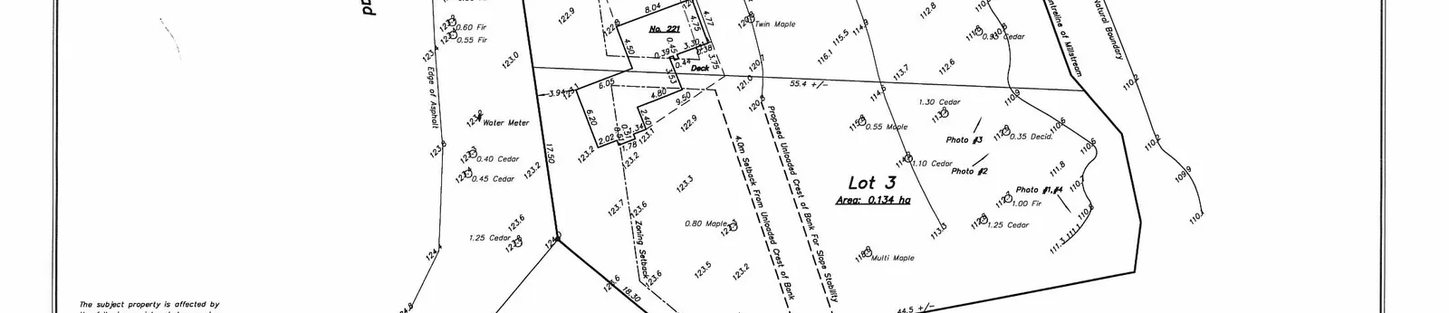Bottom portion of the site plan showing Lot 3 (Area: 0.134 ha), building details for No. 221, and the surveyor's contact information.