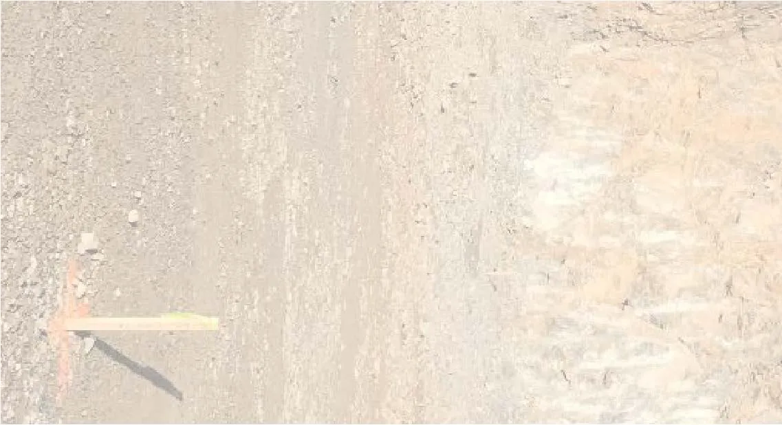 Site photograph fragment showing ground surface