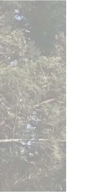 Site photograph fragment showing detailed view of stabilization mesh