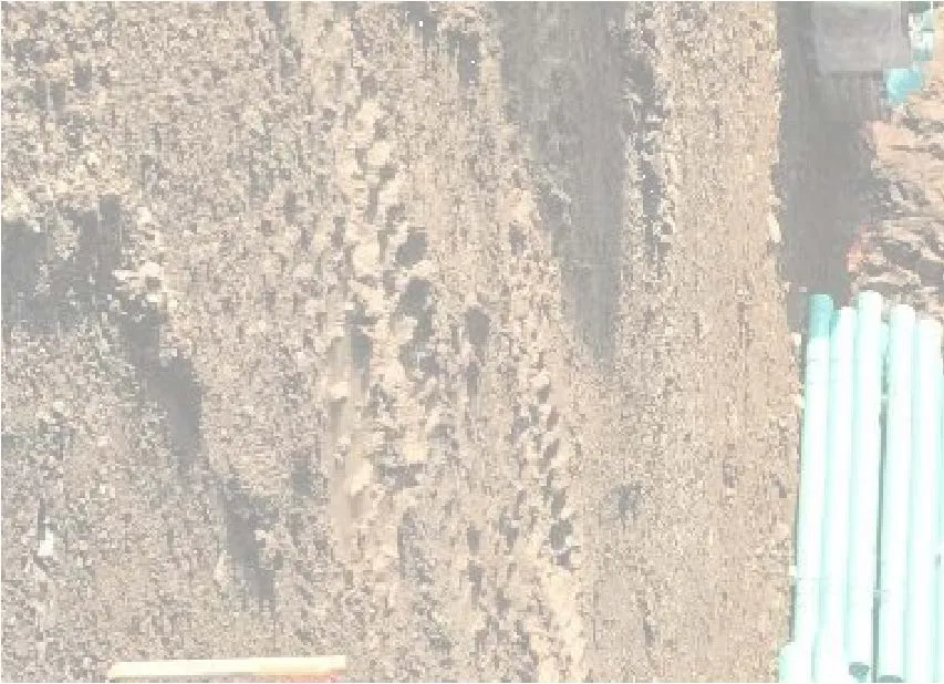 Site photograph fragment showing rocky ground near the wall base