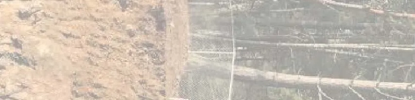 Site photograph fragment showing mesh coverage on rock