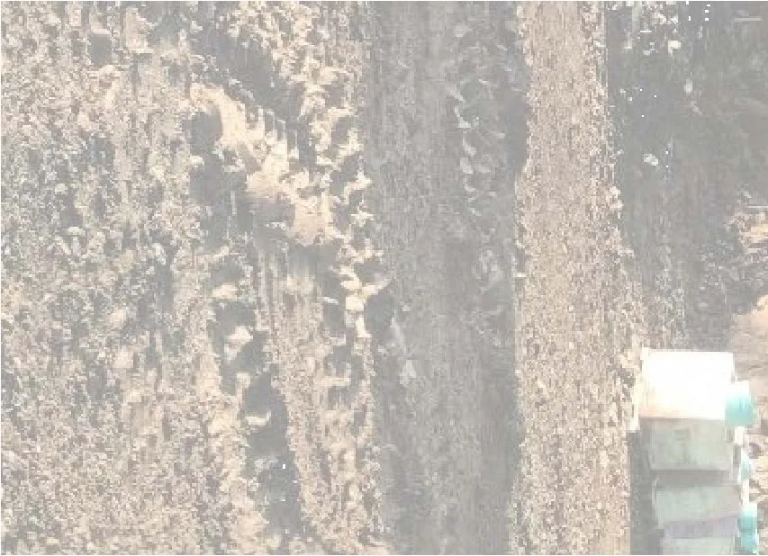 Site photograph fragment showing stabilization mesh on rock