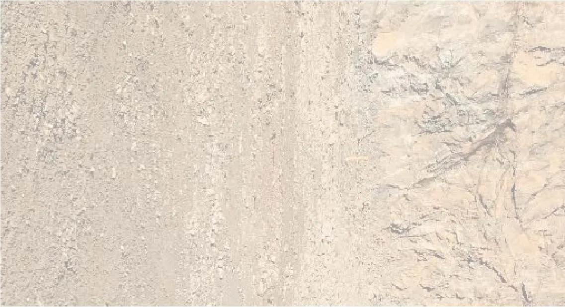 Site photograph fragment showing rock and vegetation