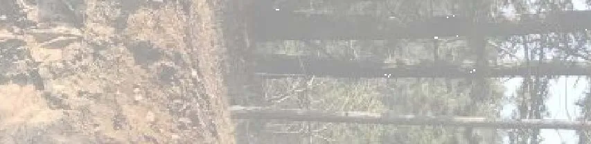 Site photograph fragment showing cleared ground surface