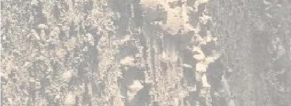 Site photograph fragment showing mesh and support components