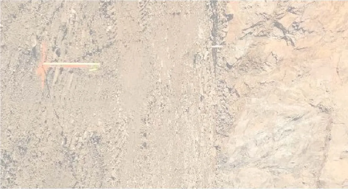 Site photograph fragment showing rock wall with mesh overlay