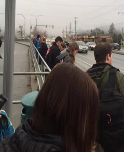 Photo of people waiting at a bus stop next to a road.