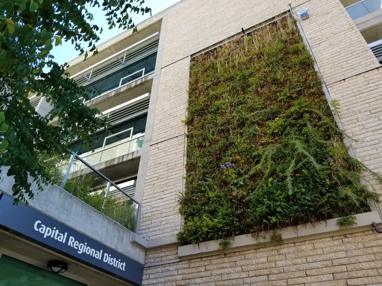 Exterior of the Capital Regional District building featuring a large vertical living wall with various green plants