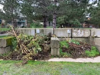 compost pile before chipping at View Royal Community Garden