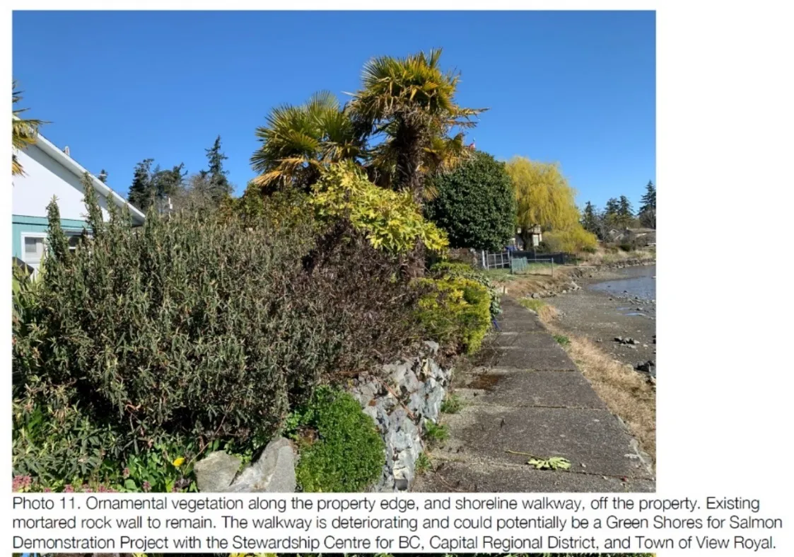 Photo showing ornamental vegetation along the property edge and shoreline walkway