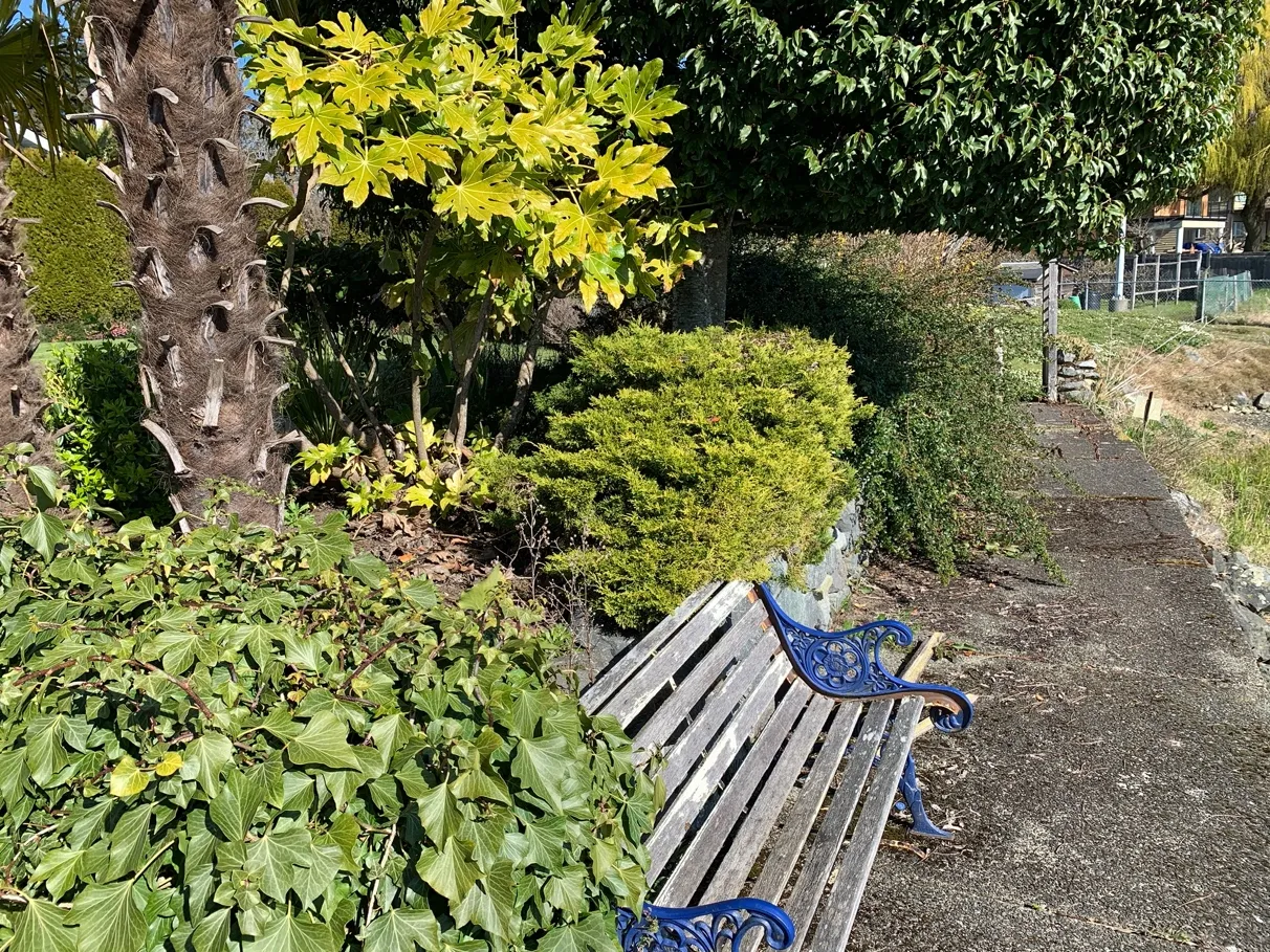 Photo 3. Looking northeast to Portage Inlet through DPA, primarily lawn and ornamental landscaping.