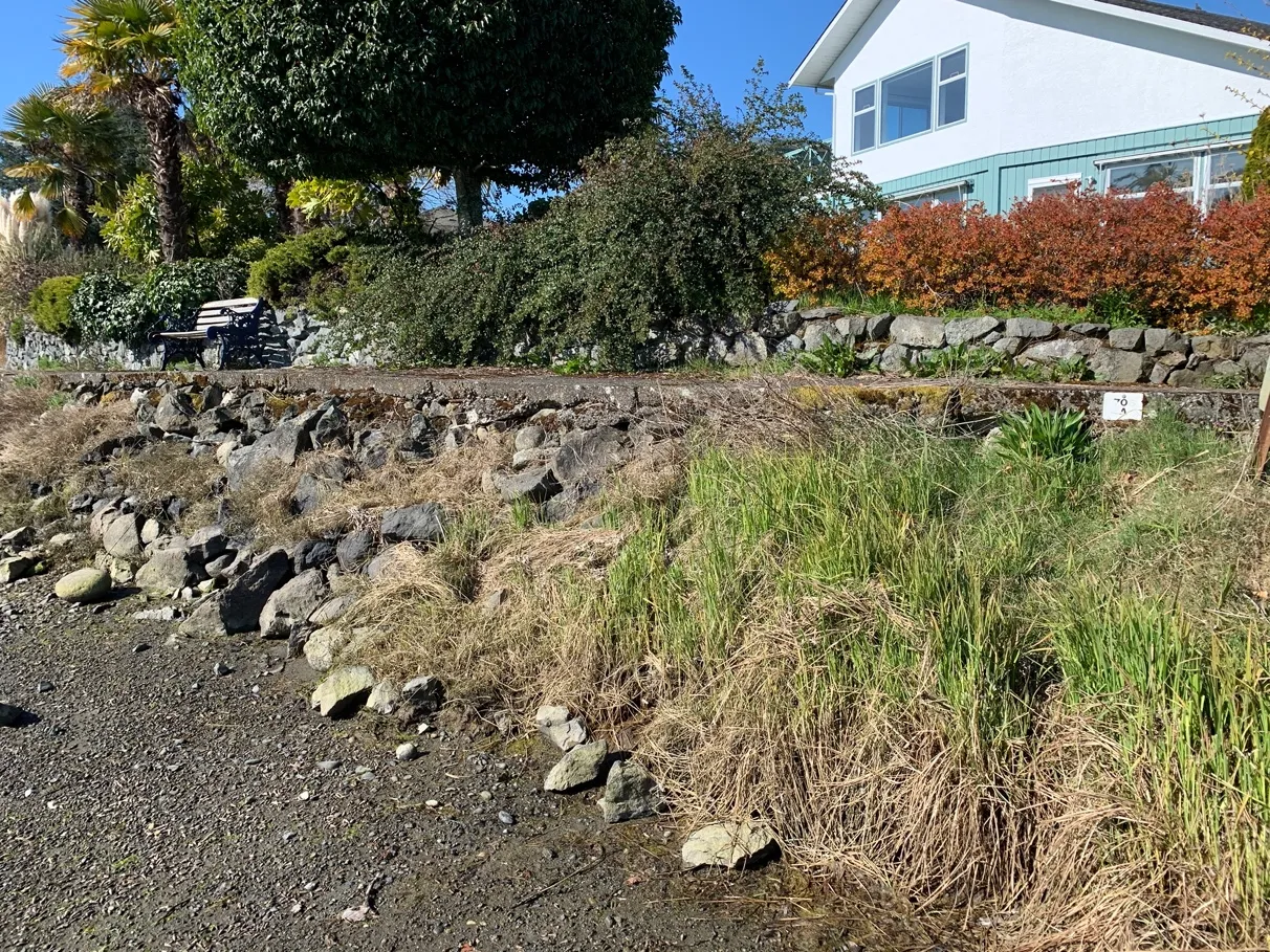 Photo 7. Existing stairs to shoreline access.