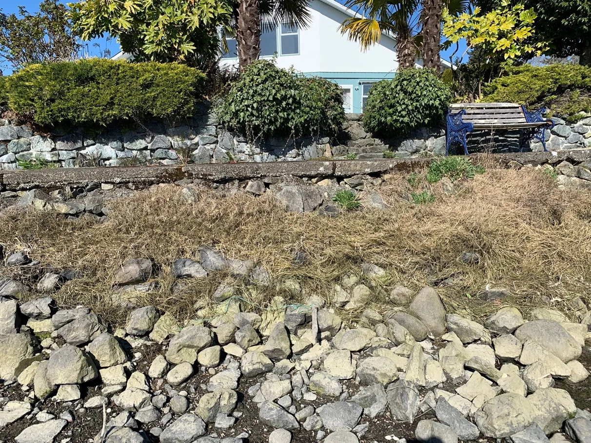 Photo 9. Southern end of shoreline walkway, off the property. Existing mortared rock wall to remain. The walkway is deteriorating and could potentially be a Green Shores for Salmon Demonstration Project with the Stewardship Centre for BC, Capital Regional District, and Town of View Royal.