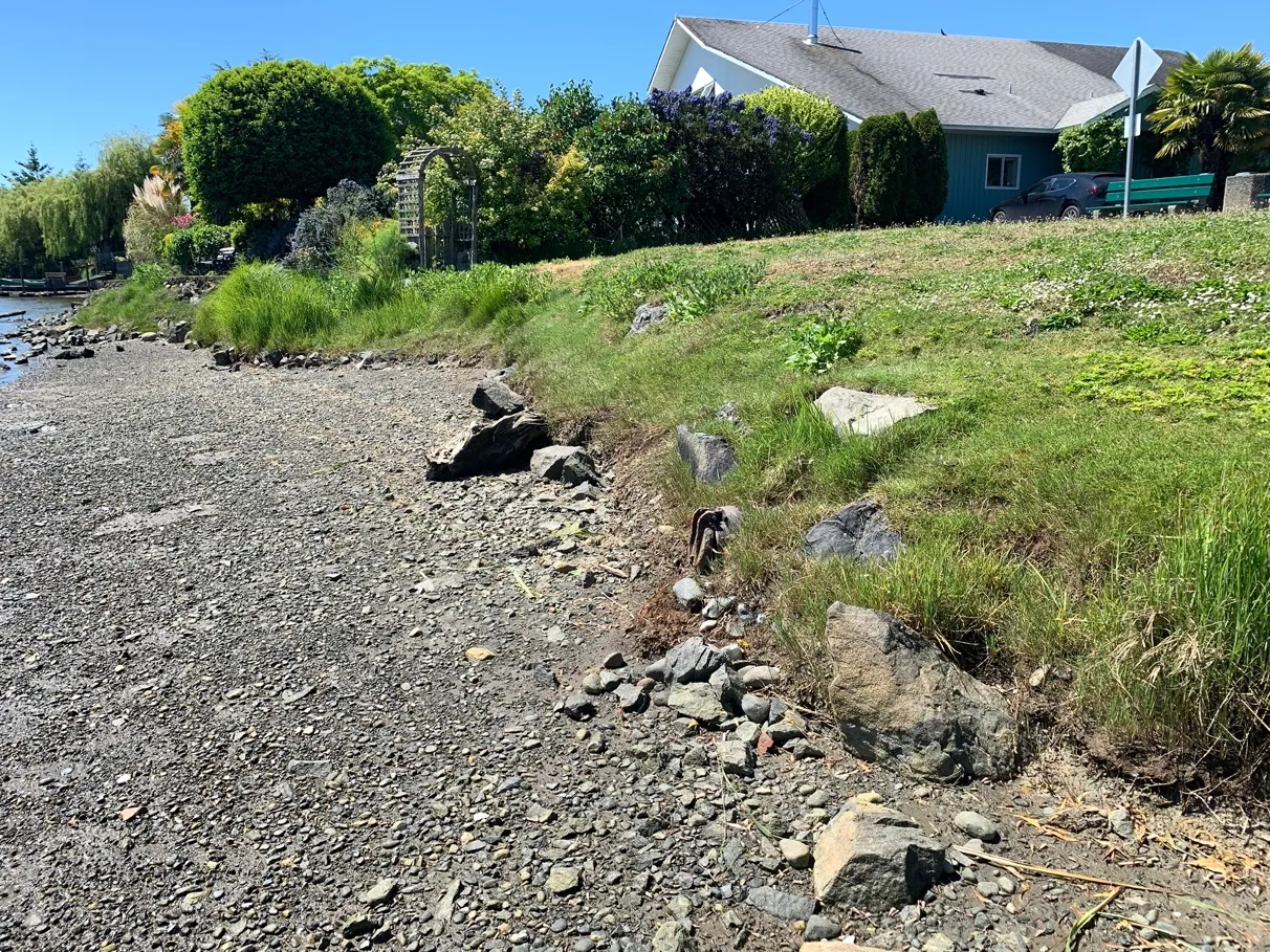 Photo 12. Ornamental vegetation along the property edge, and shoreline walkway, and bench off the property.