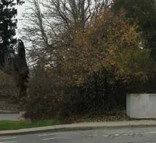 South Elevation A200 showing the building face along Island Highway