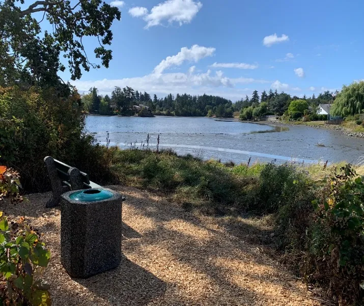 viewpoint at Crane Place trail