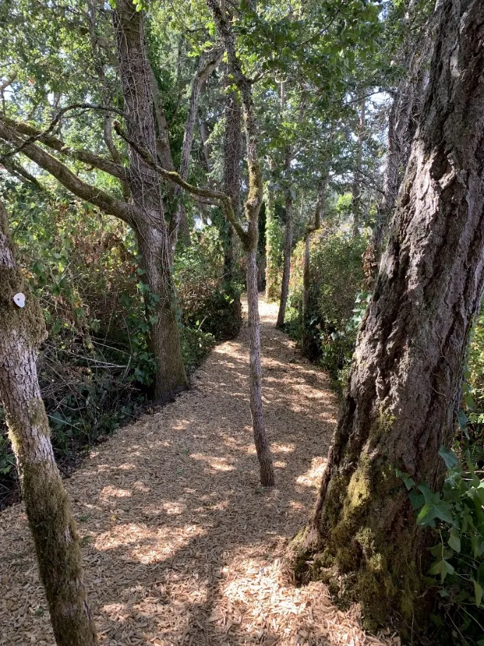 wood chip trail at Crane Place