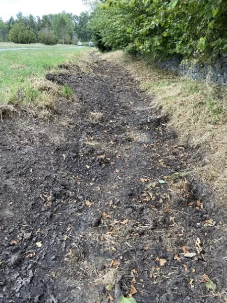 cleared ditch area