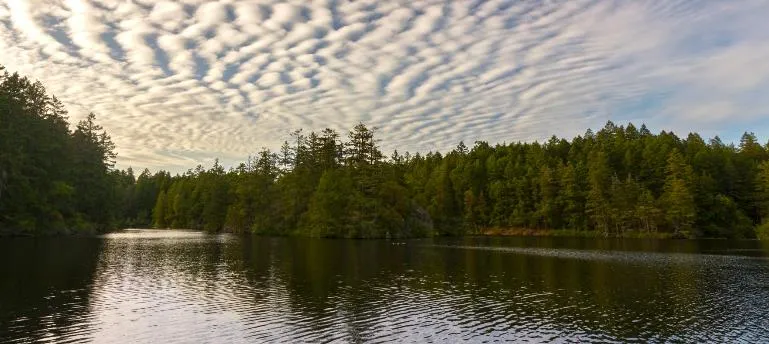 Photograph of Thetis Lake Regional Park