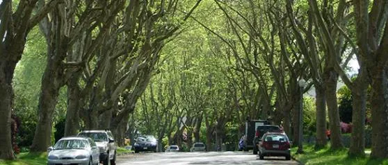 Photograph of people walking and cycling on a paved trail