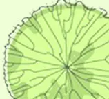 Detailed landscape site plan showing the proposed building footprint, property lines, setbacks, visitor parking, and connections to Portage Park and Island Highway