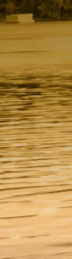 Ripples on the surface of the water