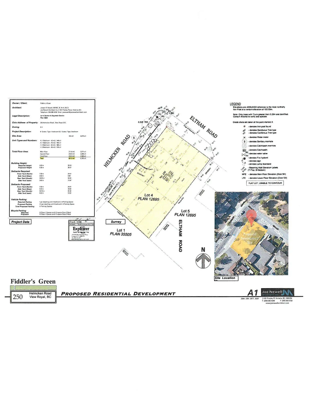 Project data and site survey plan for 250 Helmcken Road