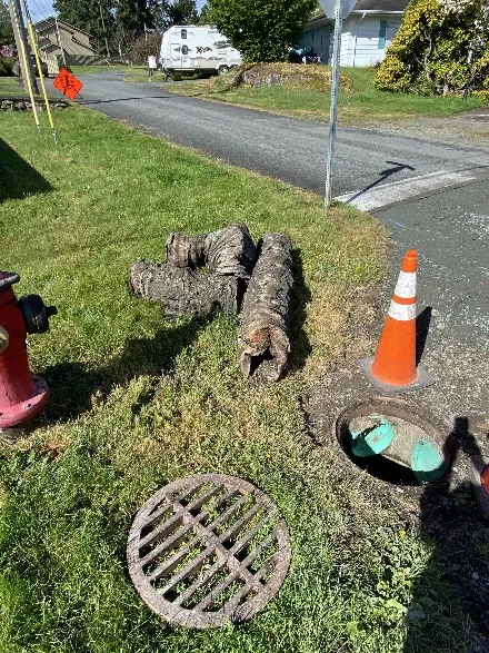 Replacement of steel culvert at Brian Place and Glenairlie Drive showing old pipe removed