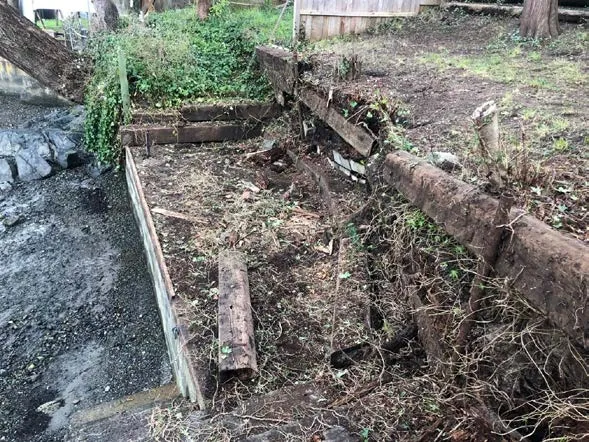 Photograph showing a dilapidated wooden retaining structure or foundation near the shoreline with overgrown vegetation