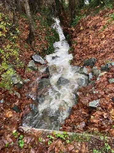 Effectiveness of the new drain swale at Beaumont Park during heavy rains