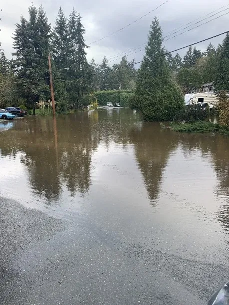 Drain ravine next to Helmcken Bay Pump Station during heavy rains