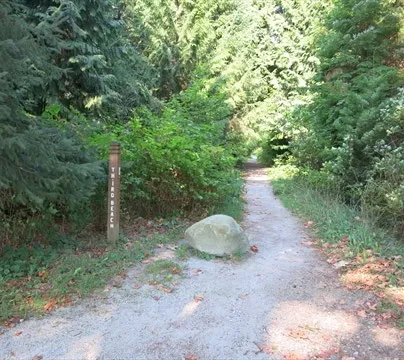 Photograph of a paved Regional Gravel Pathway passing under a bridge