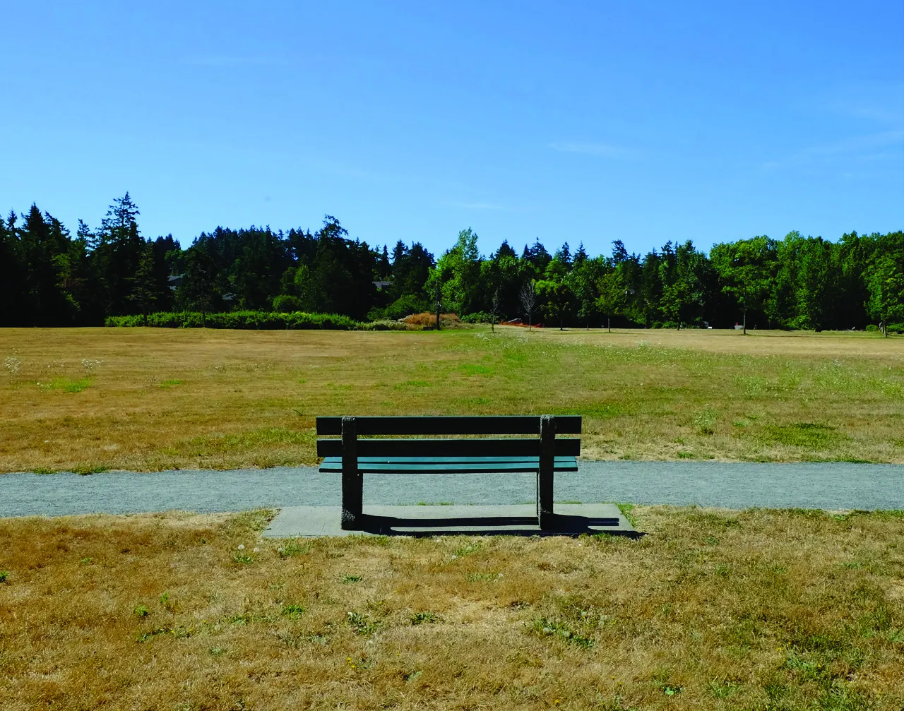 A park bench on a gravel path overlooking a large dry grassy field with trees in the background.