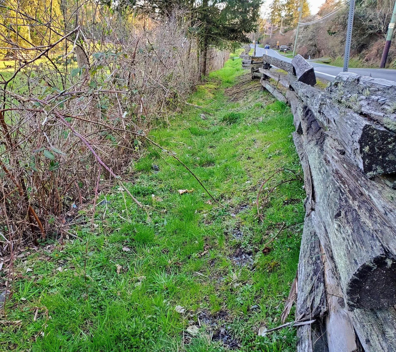 Overgrown and uneven grassy path running behind a split-rail fence alongside the road