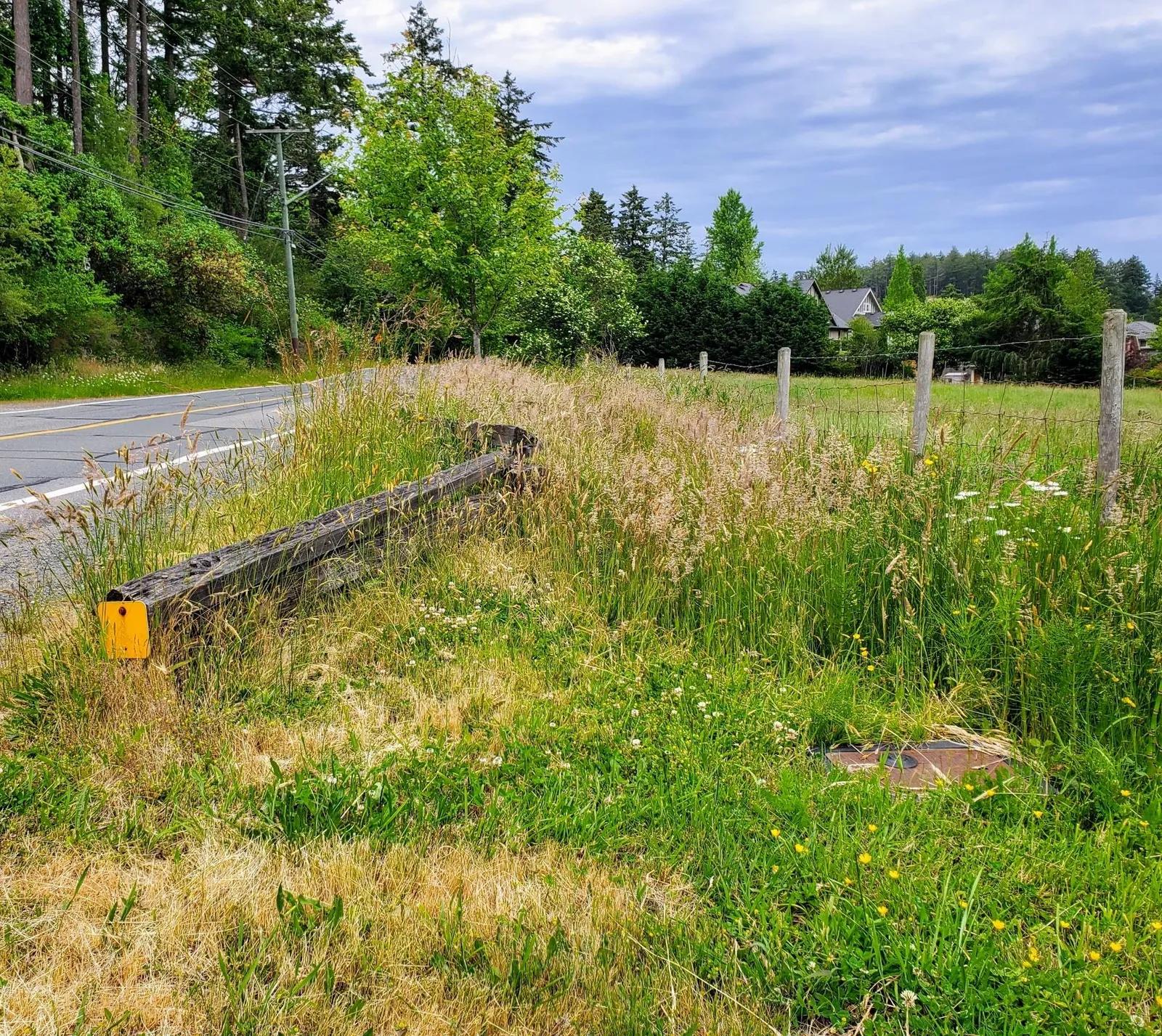 A child in a stroller being pushed along the edge of the asphalt road due to lack of a safe shoulder