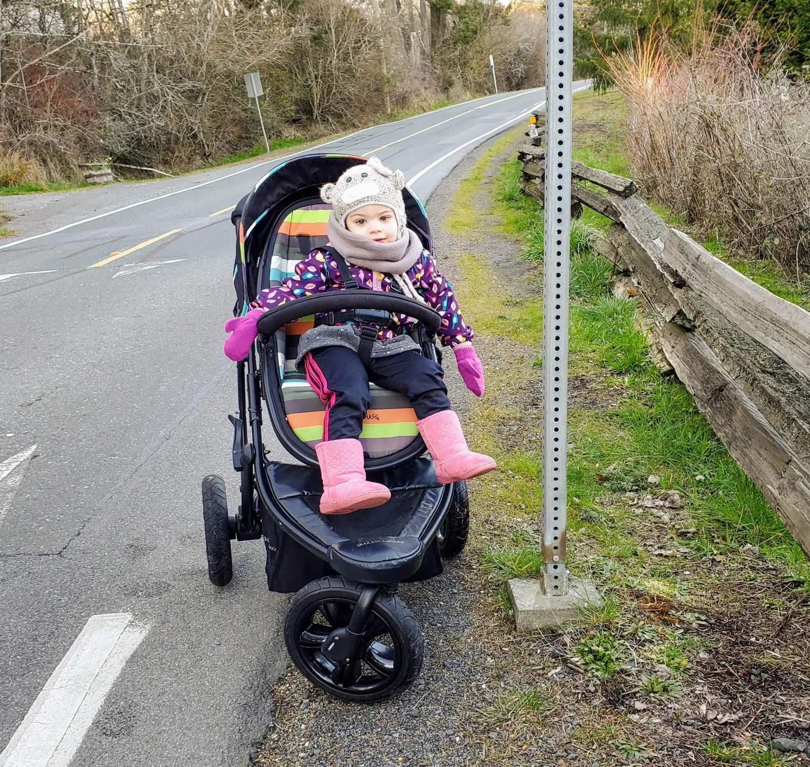Tall, un-mowed grass and weeds obscuring the walkable area of the road shoulder