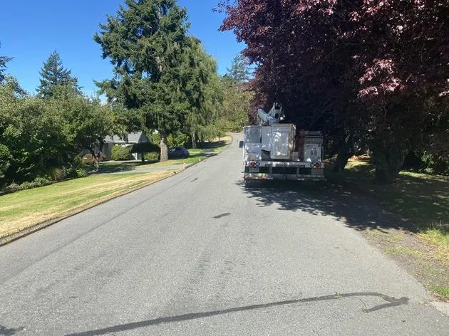 Rear view of a utility boom truck parked on the side of a residential street